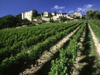 mozaique-13-la-route-du-gaillac